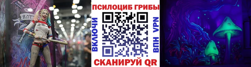 где купить наркоту  Шумиха  Галлюциногенные грибы Cubensis 